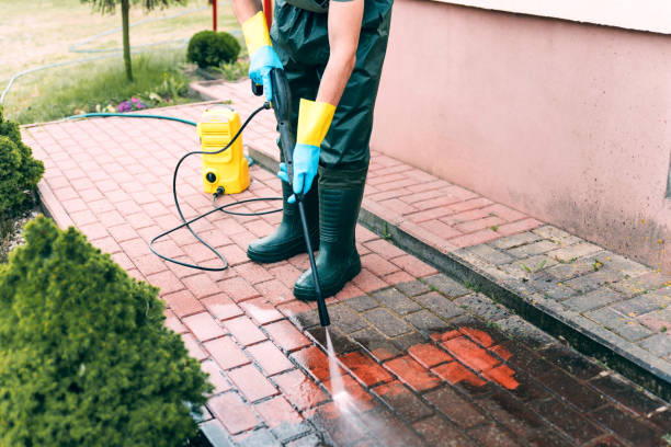 Best Animal Enclosure Cleaning  in Woodsfield, OH
